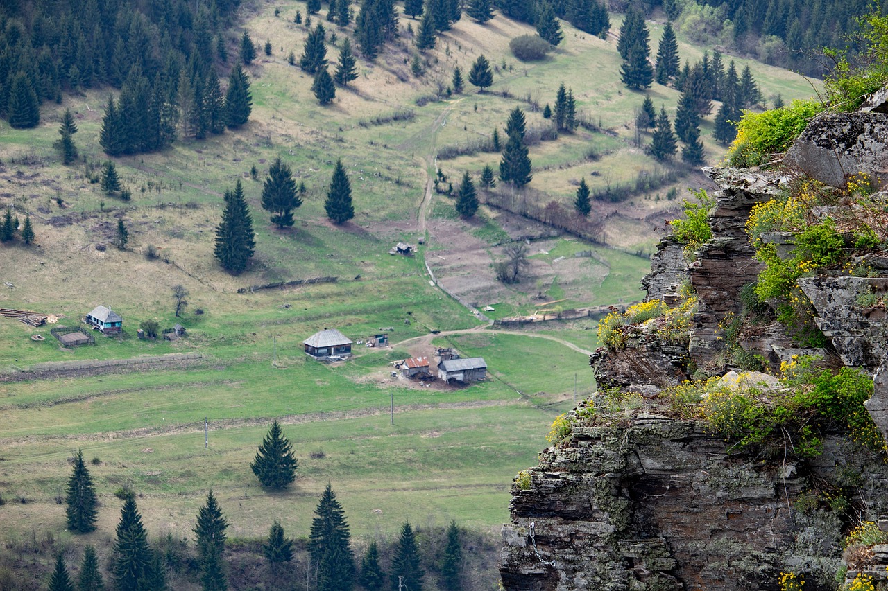 village  transylvania  romania free photo