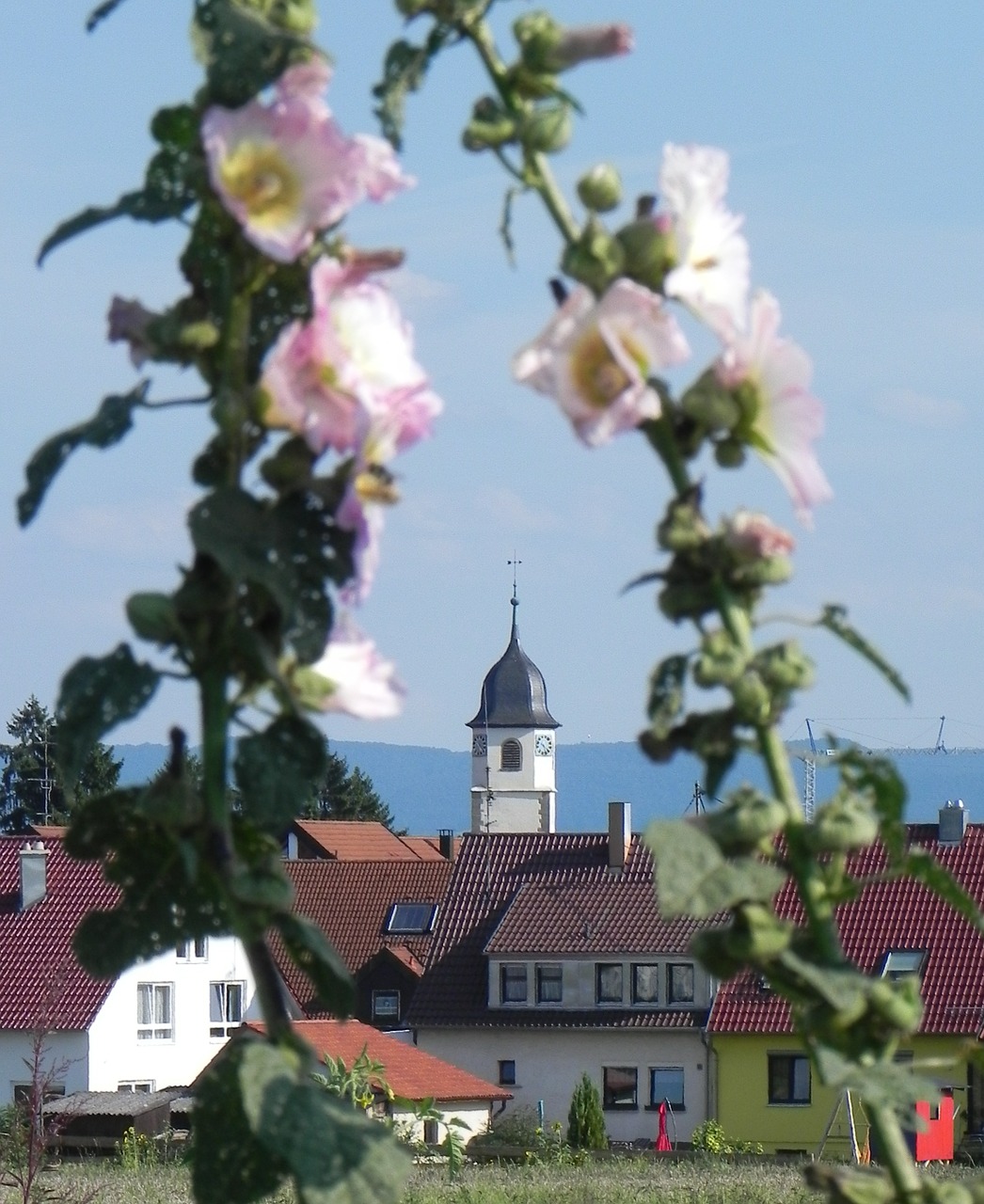 village spring steeple free photo