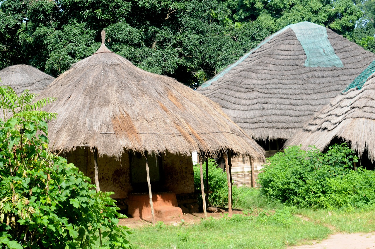 village africa guinea free photo