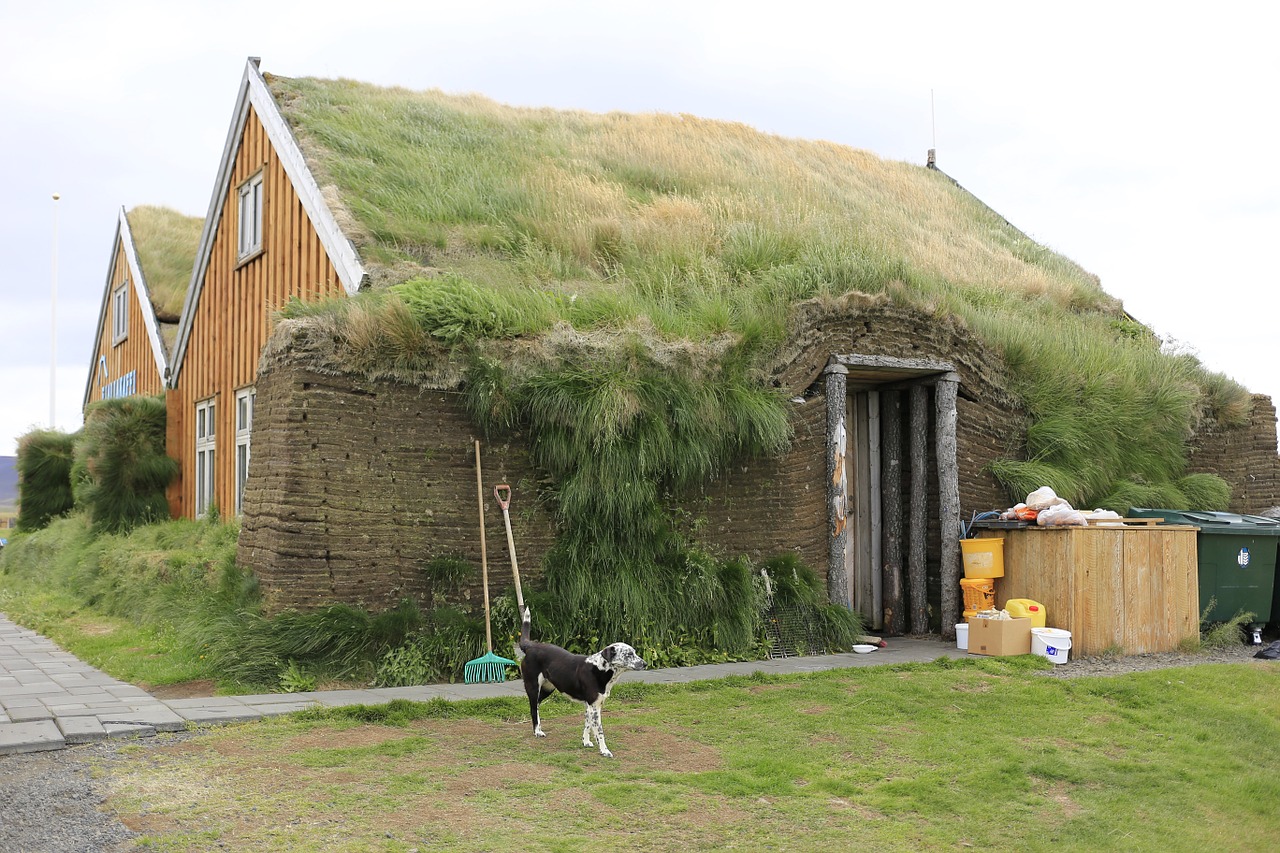 village houses grass free photo