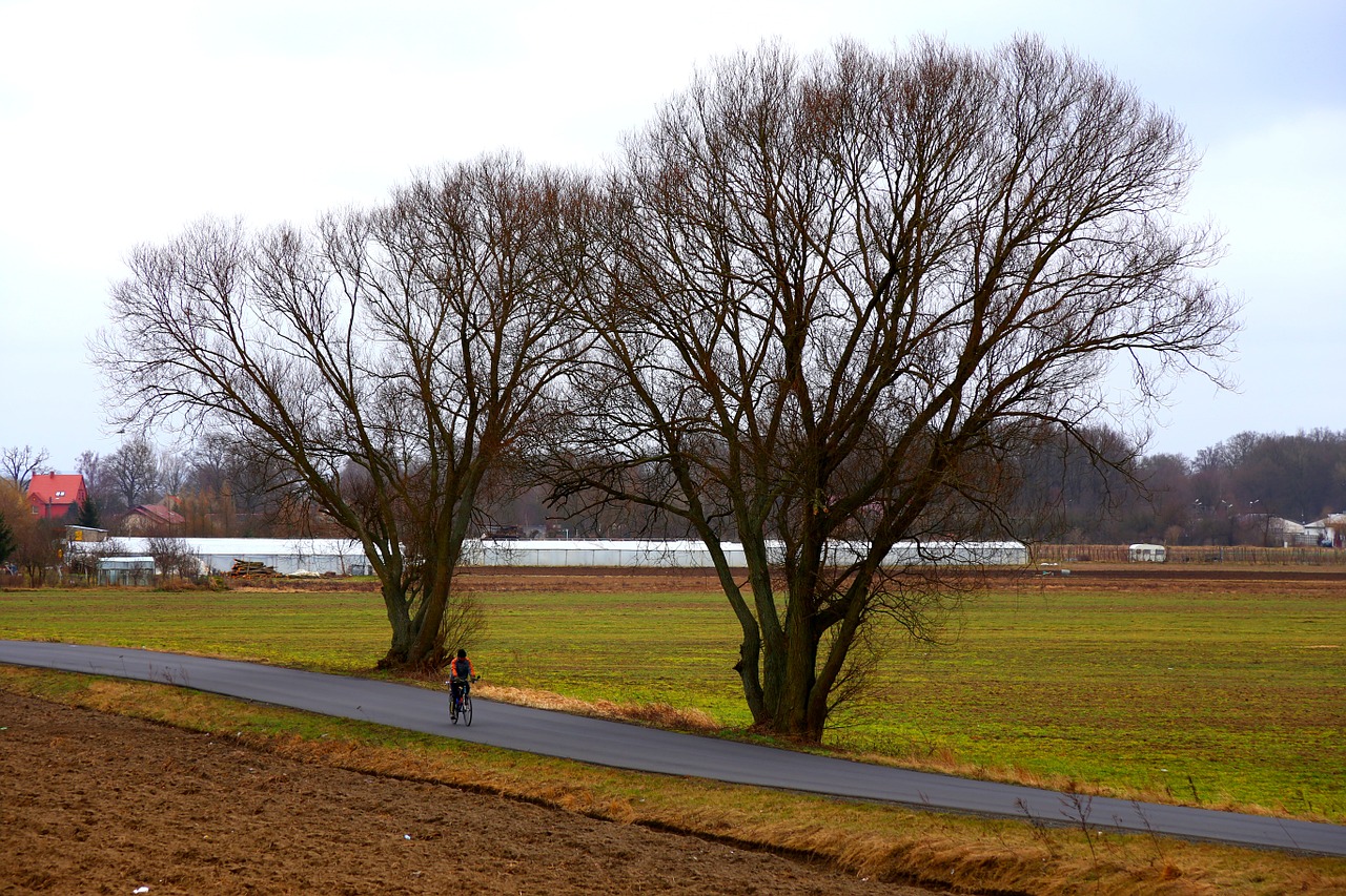 village tree view free photo