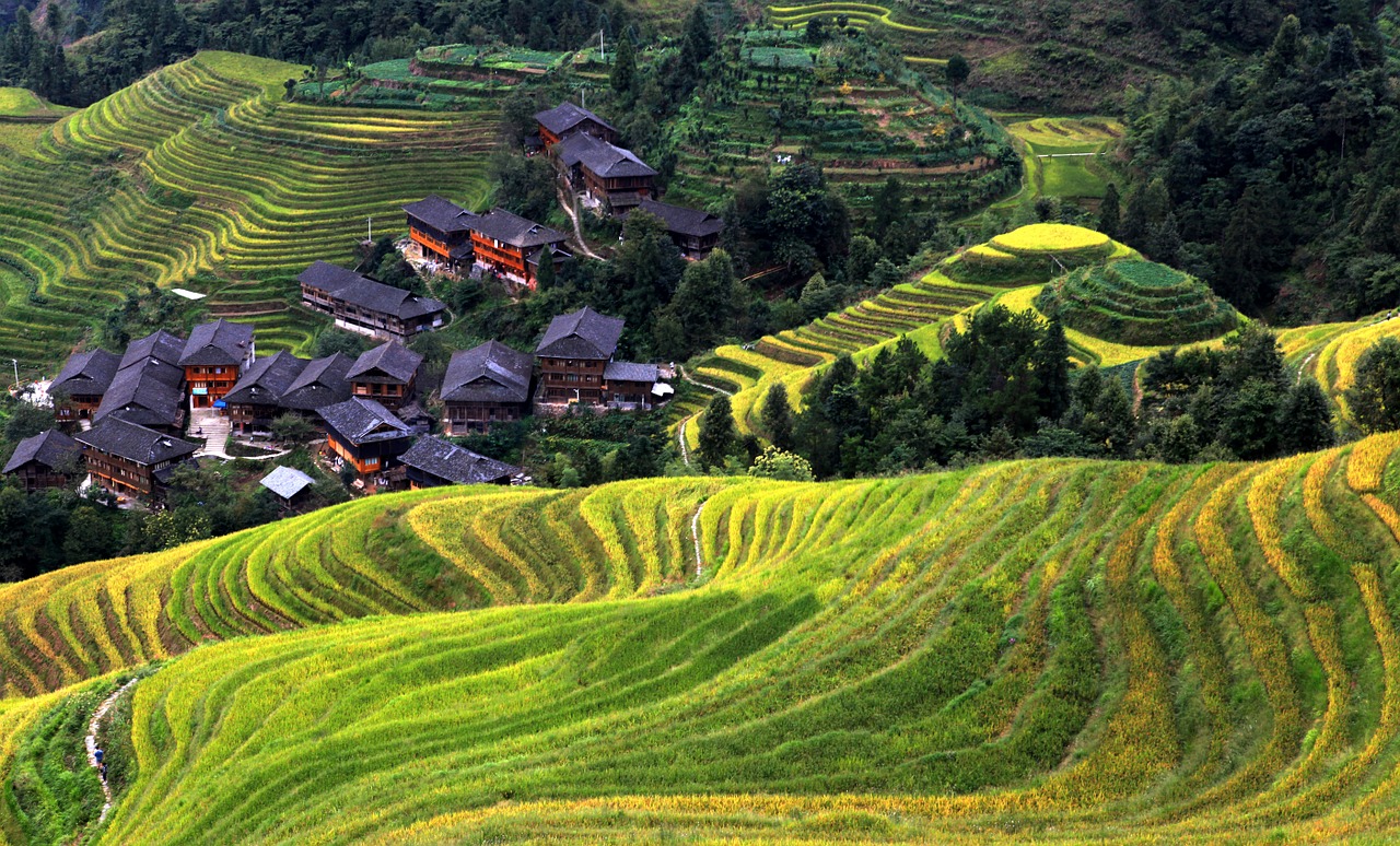 village asia landscape free photo