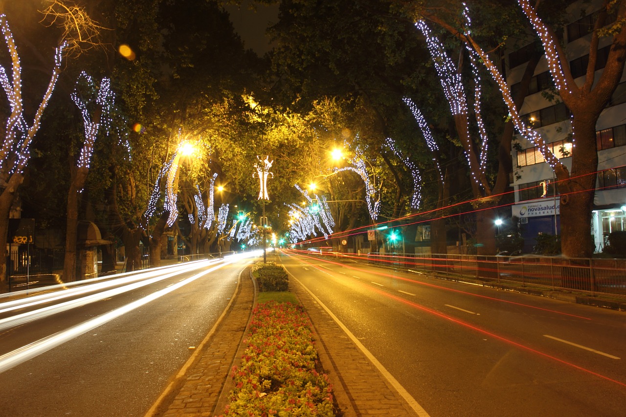 viña del mar landscape city free photo