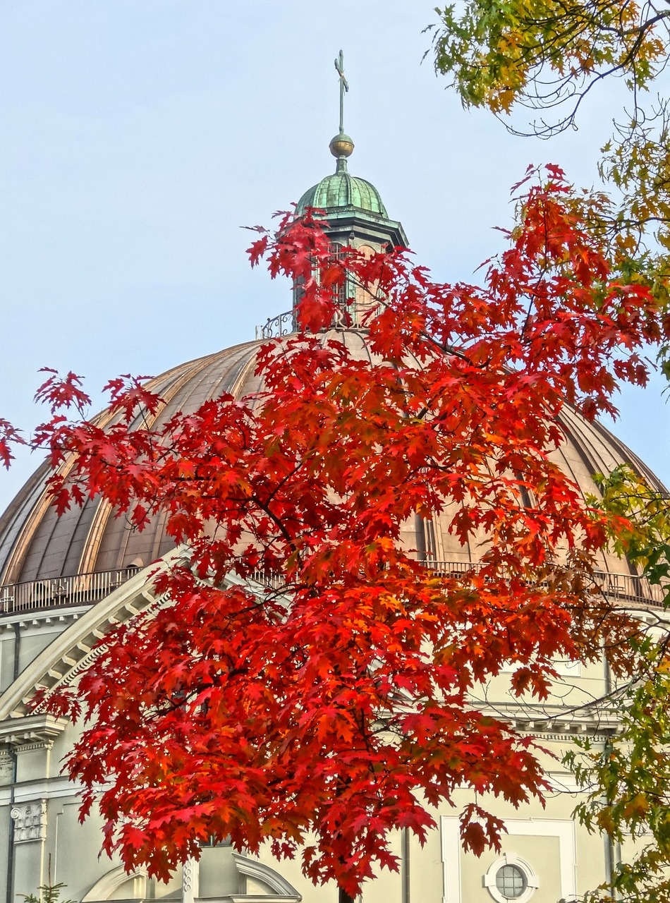 vincent de paul church st peter's basilica free photo