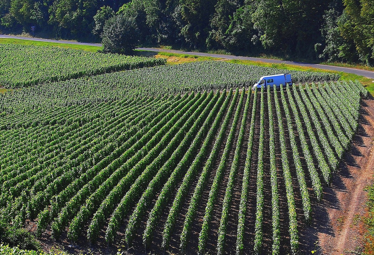 vineyard chateau france free photo