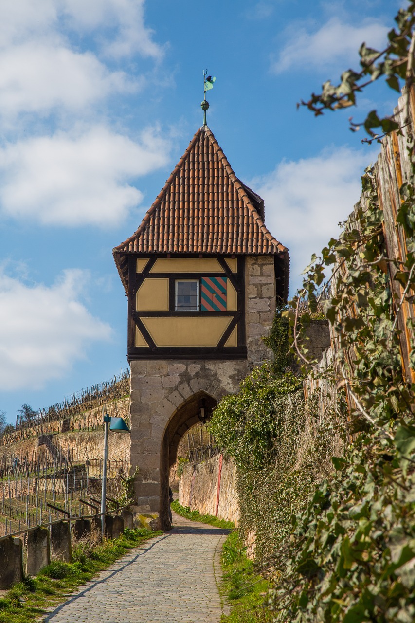 vineyard tower middle ages free photo