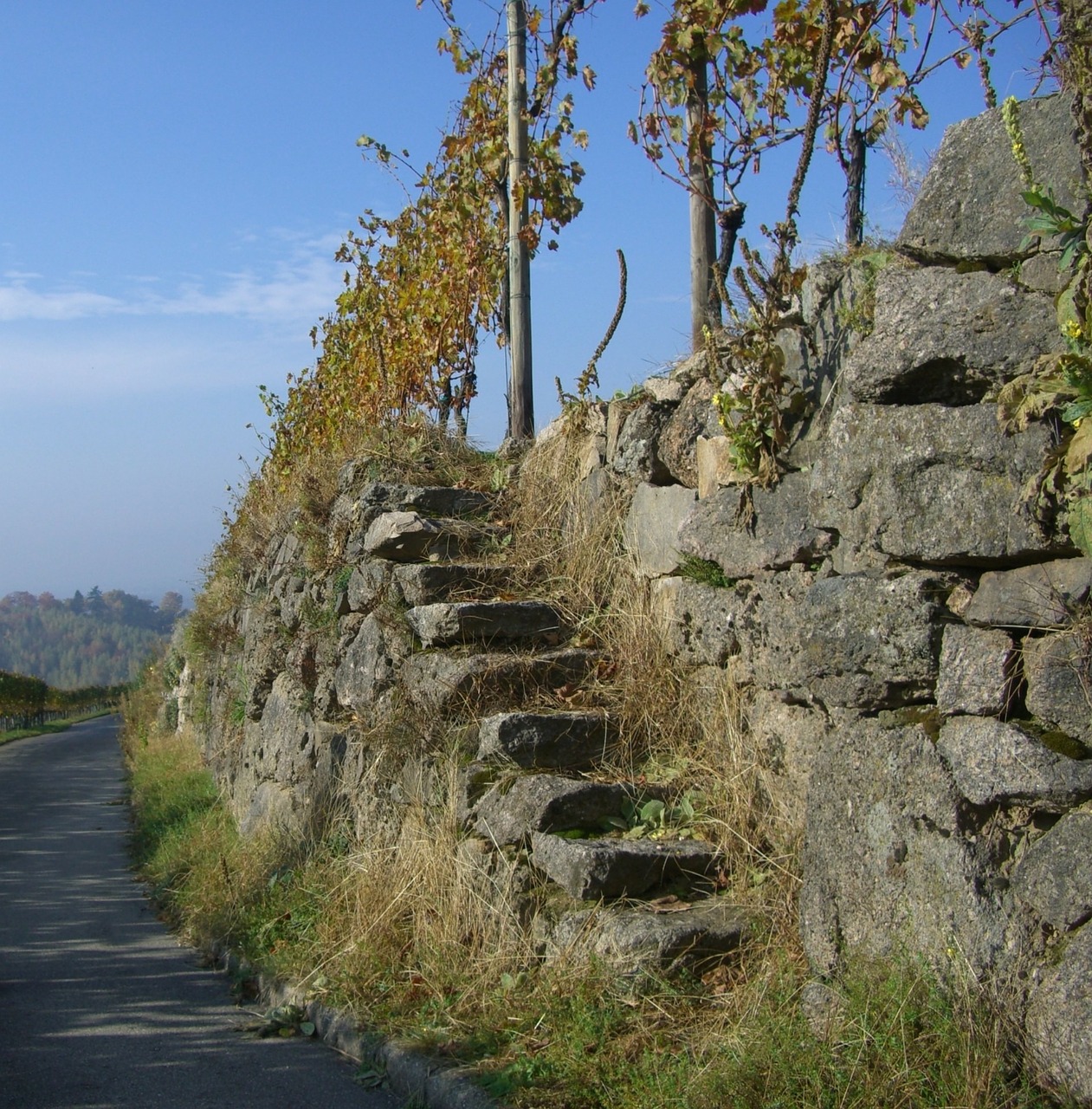 vineyard stone stairway emergence free photo