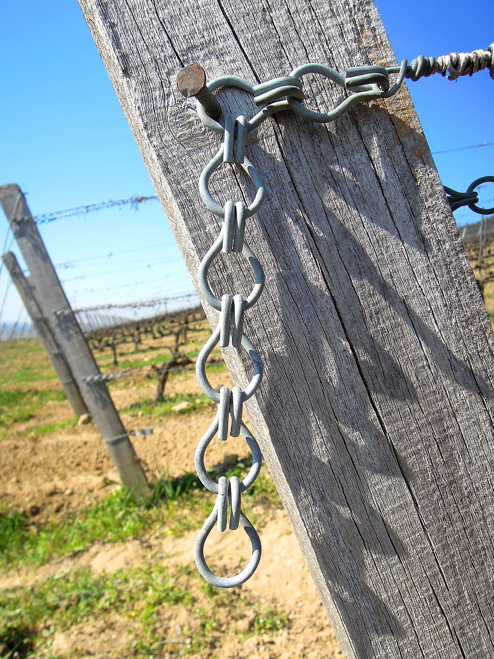 vineyard wire wire tensioning free photo