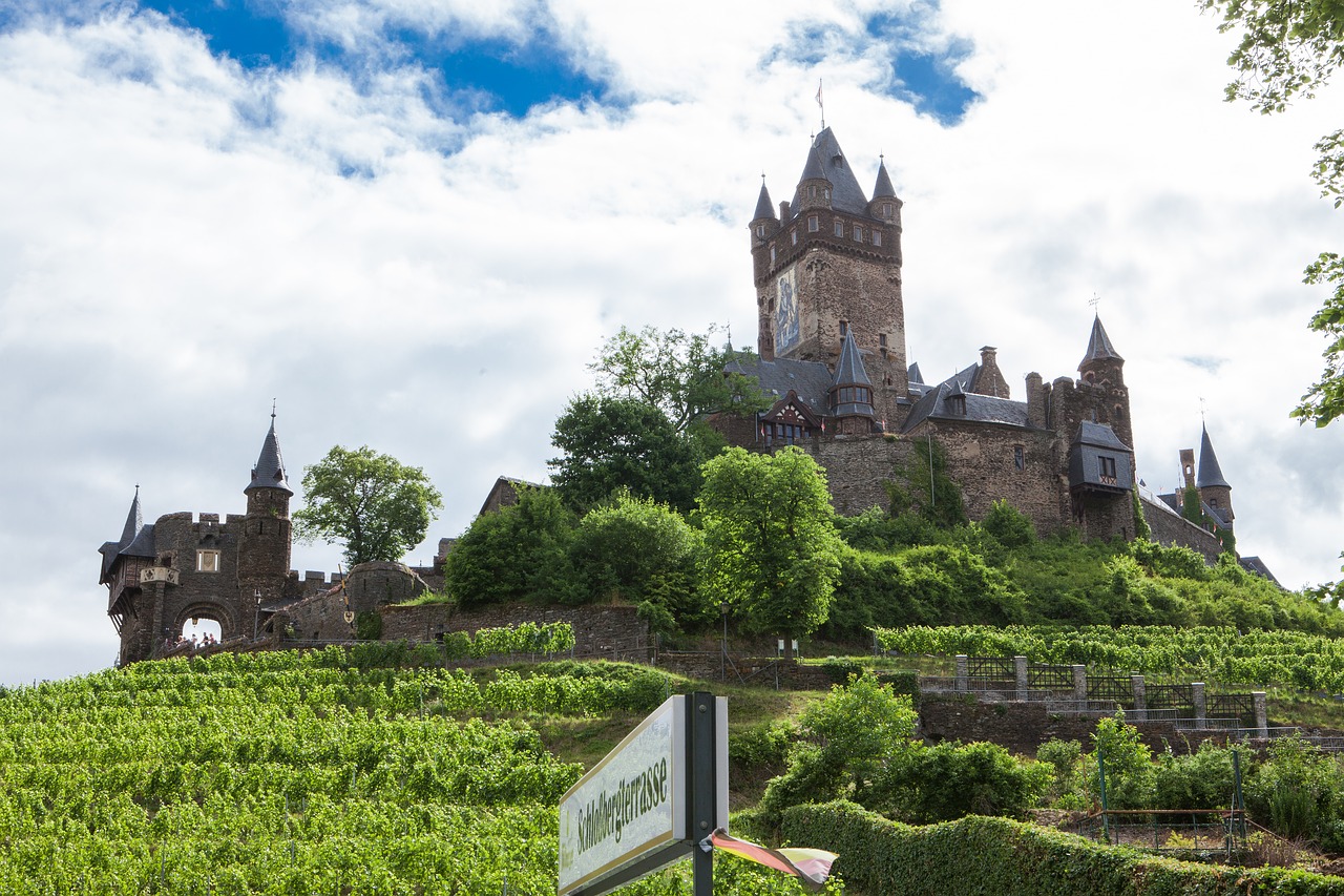 vineyard  castle  winegrowing free photo