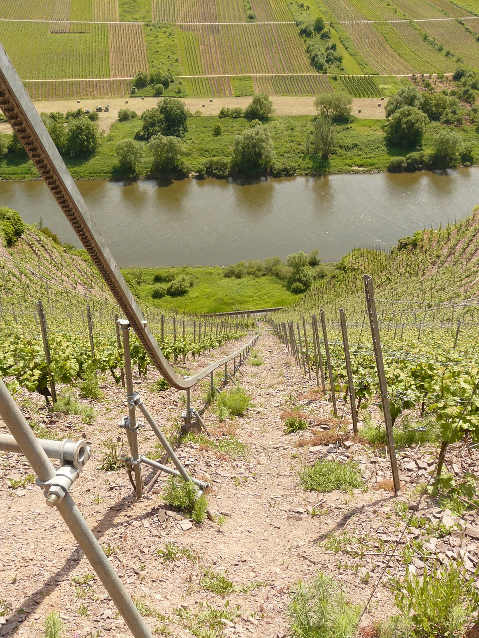 vineyard steep slope winegrowing free photo
