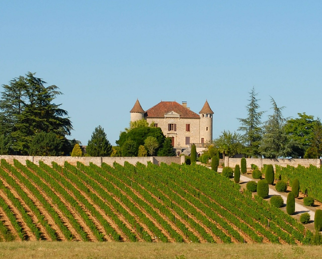 vineyard chateau france free photo