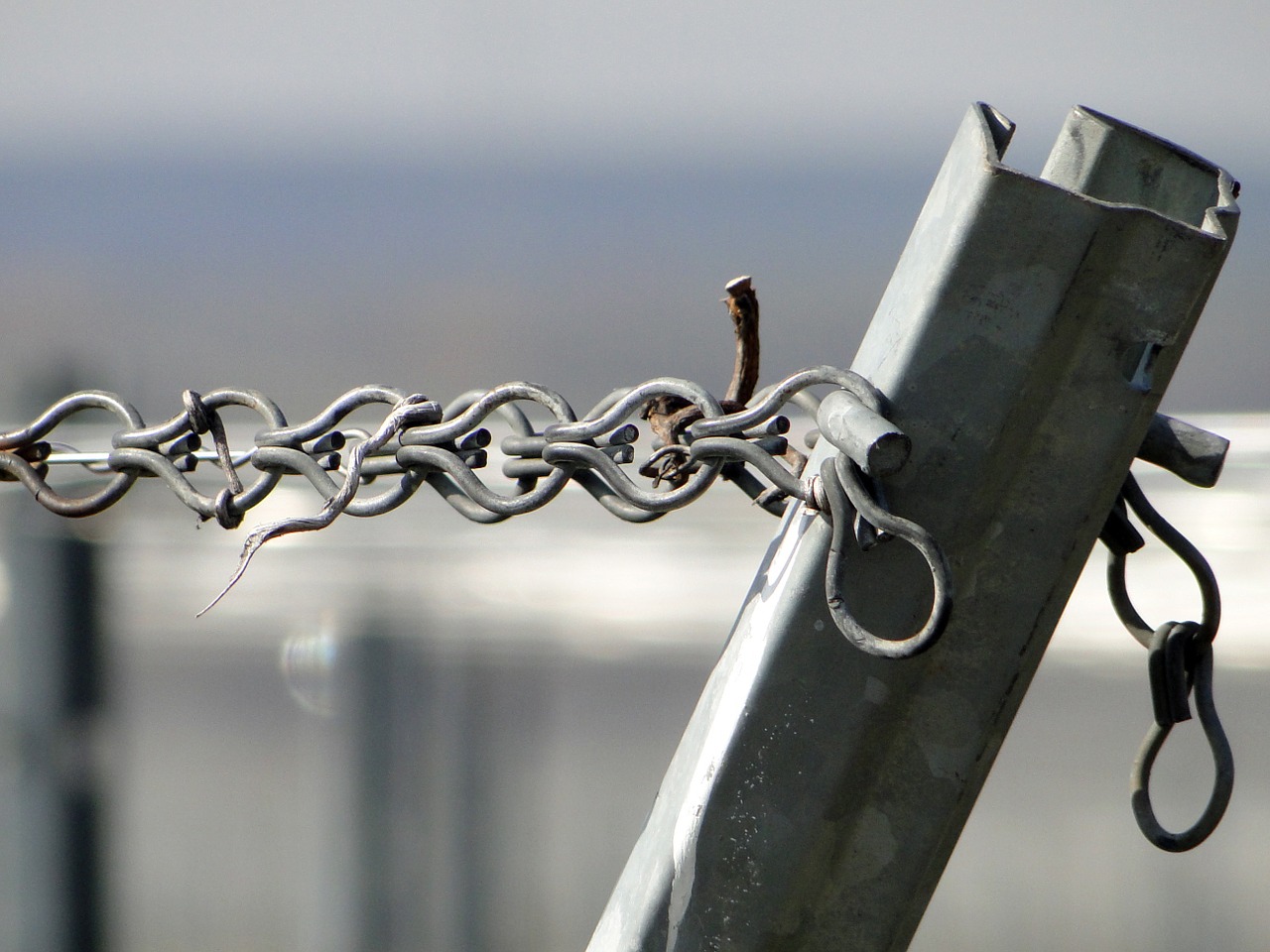 vineyard fixing wire free photo