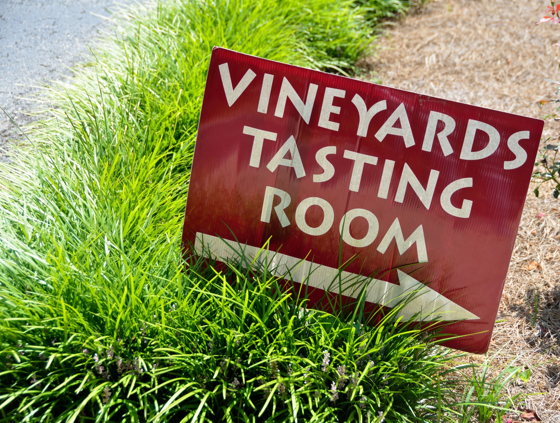 vineyard tasting sign free photo