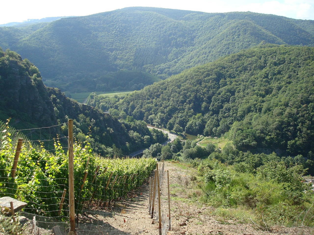vineyards sky winegrowing free photo