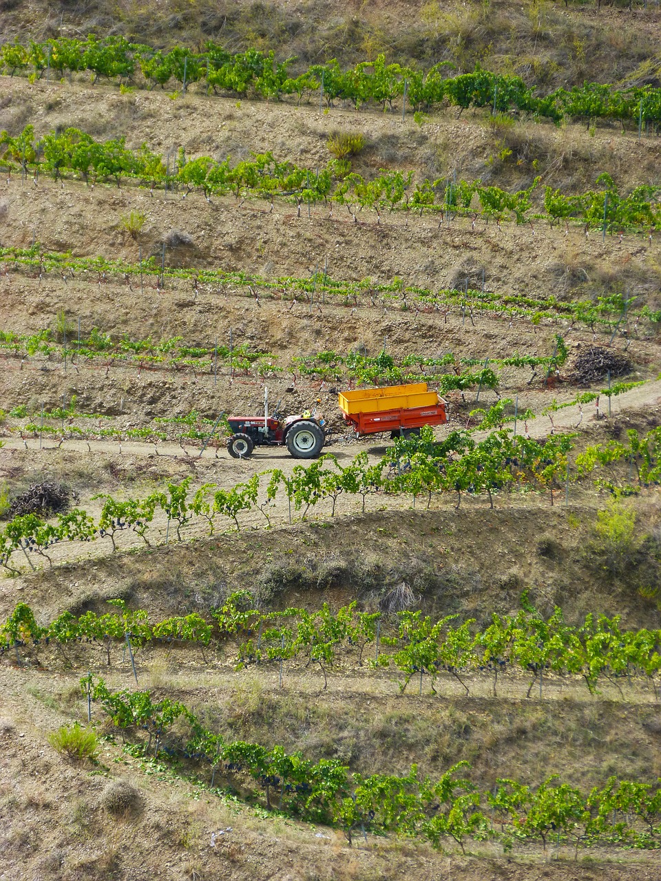 vineyards priorat tractor free photo