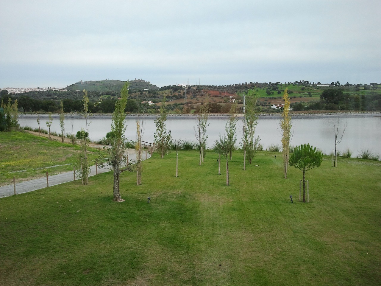 vineyards rural portugal free photo