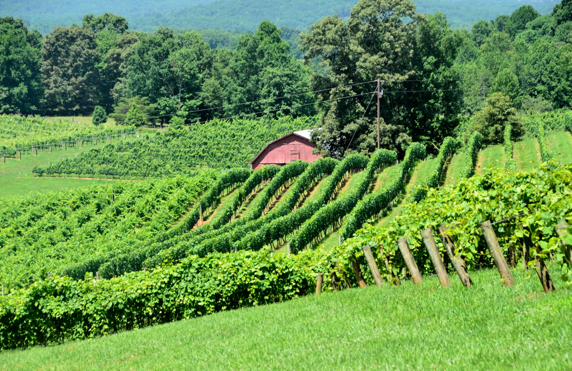 farm rural outdoor free photo