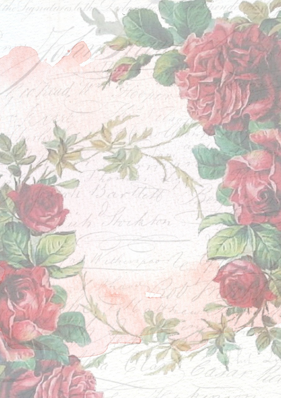 vintage rose pink free photo