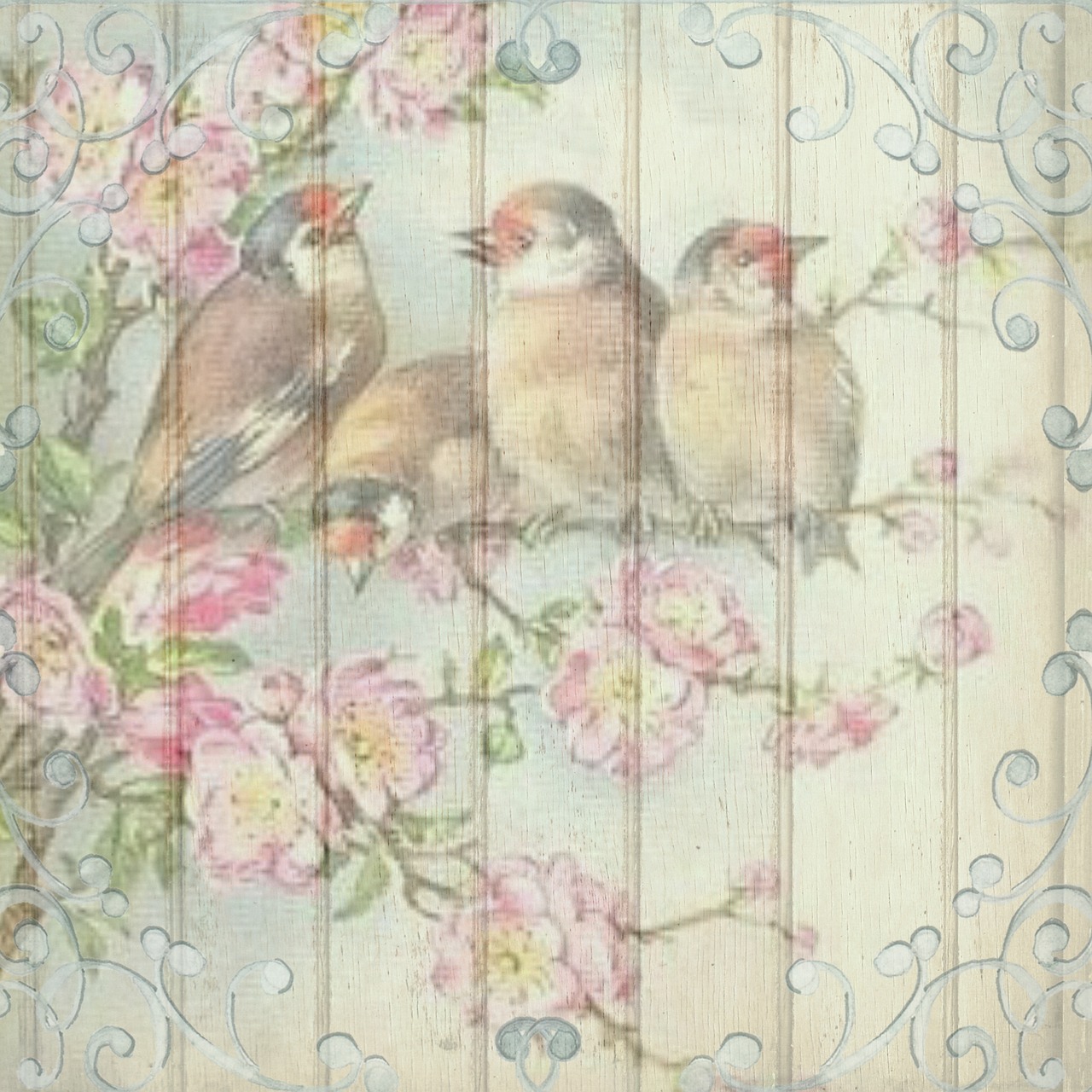 vintage birds background free photo