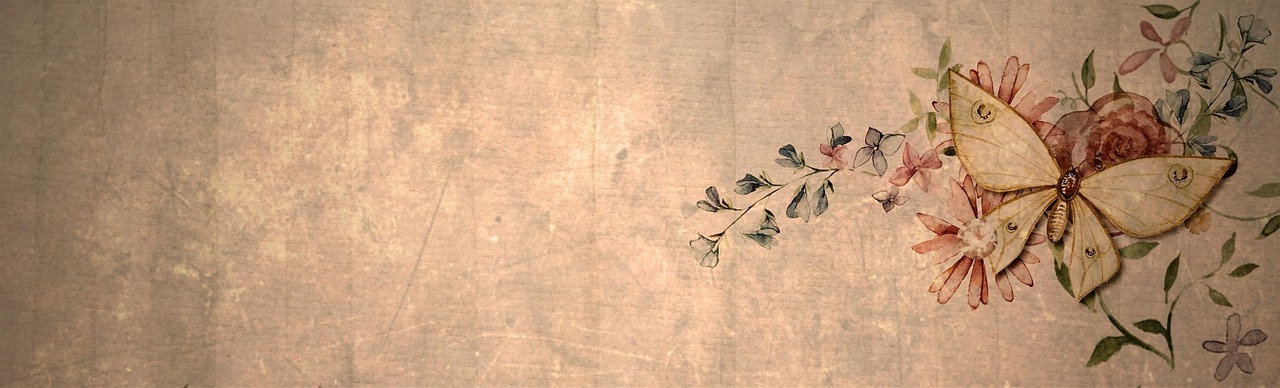 vintage butterfly banner free photo