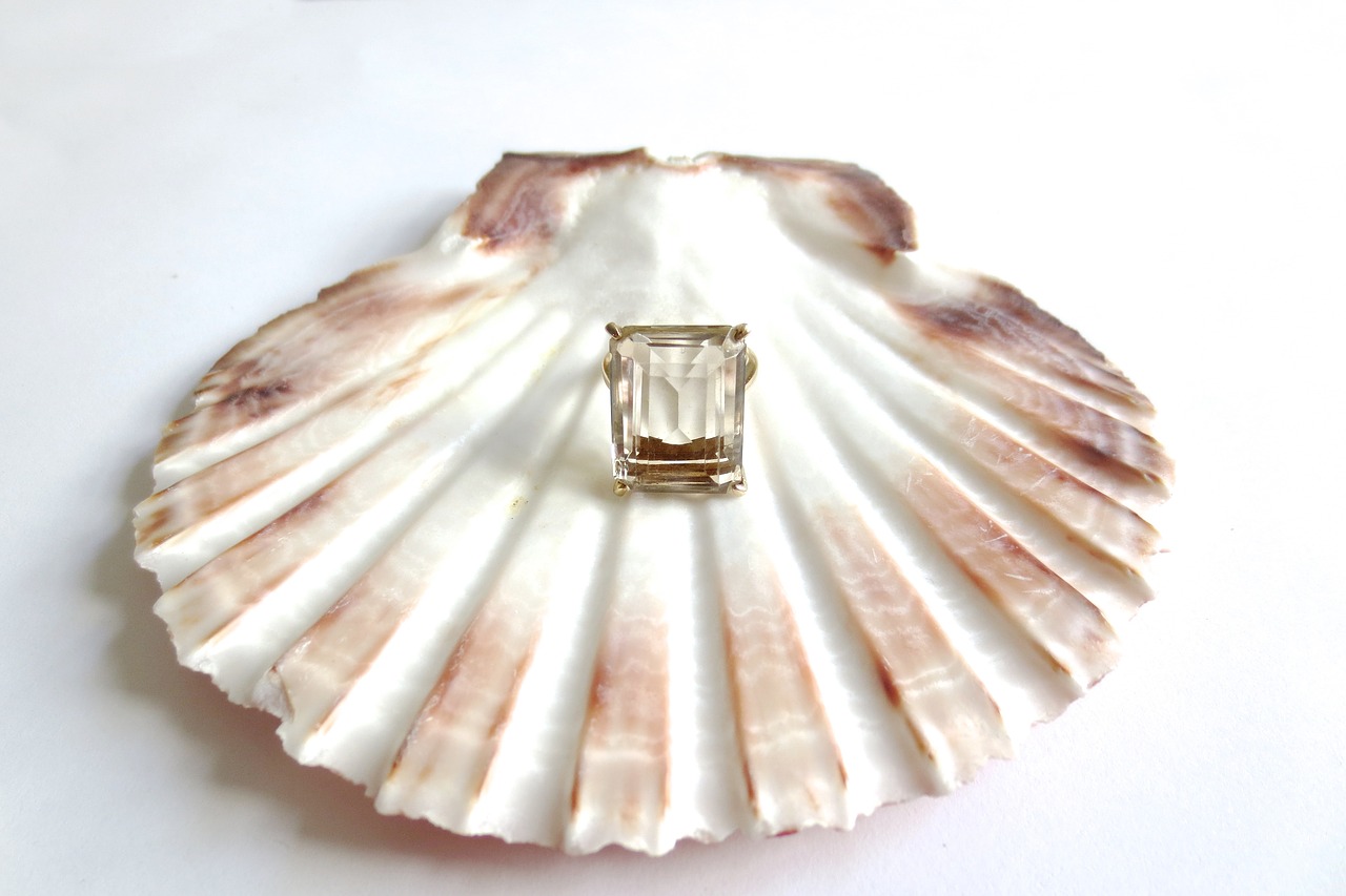 vintage scallop shell free photo