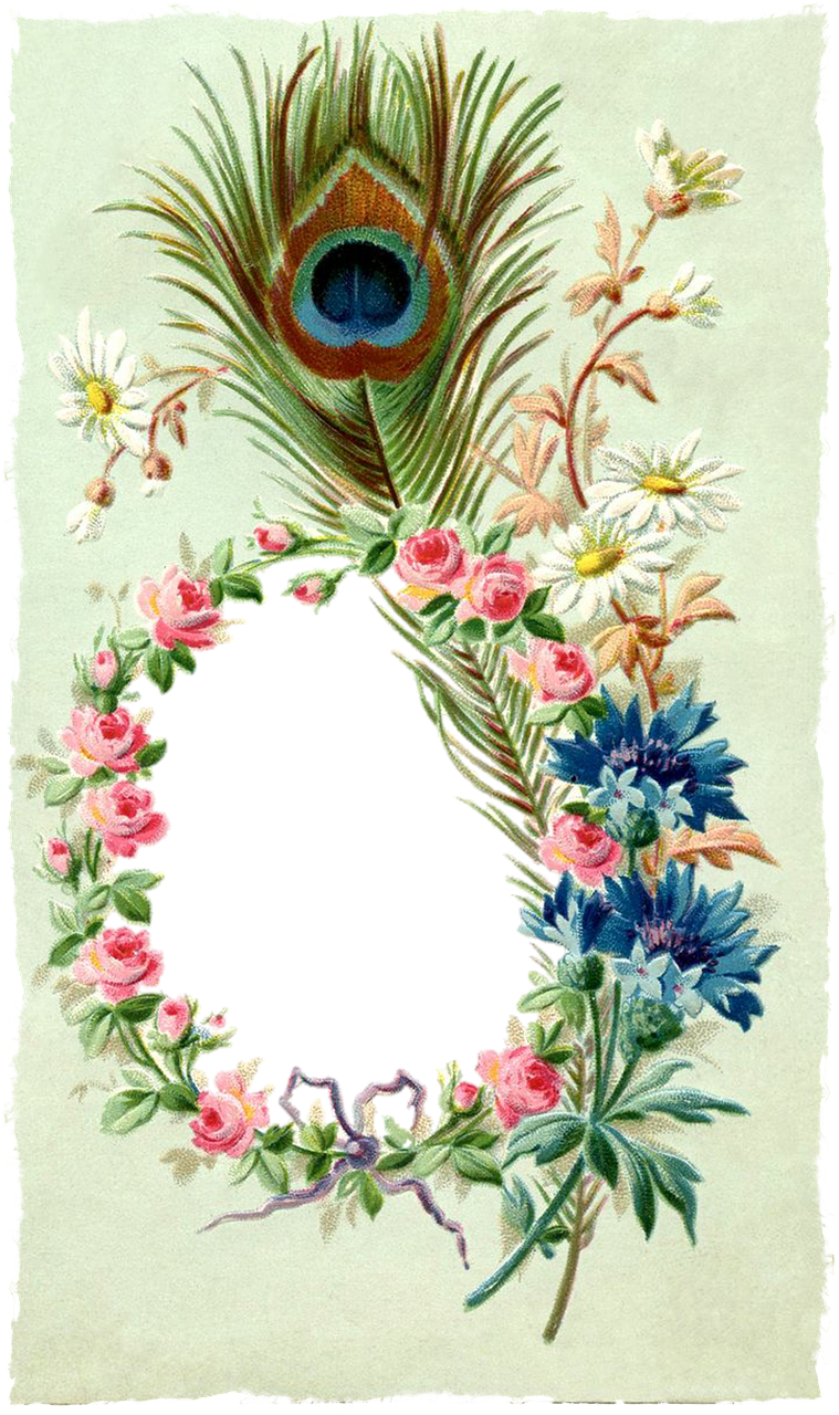 vintage frame floral free photo