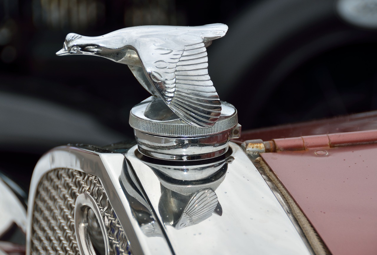 vintage hood ornament car free photo