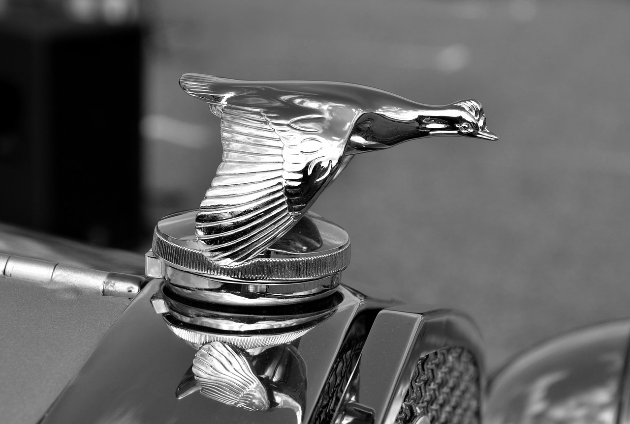 vintage hood ornament antique free photo