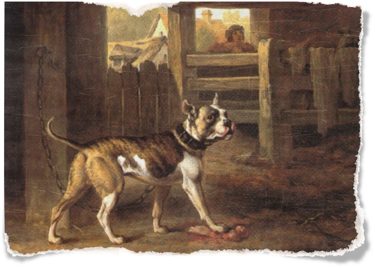 vintage painting dog free photo