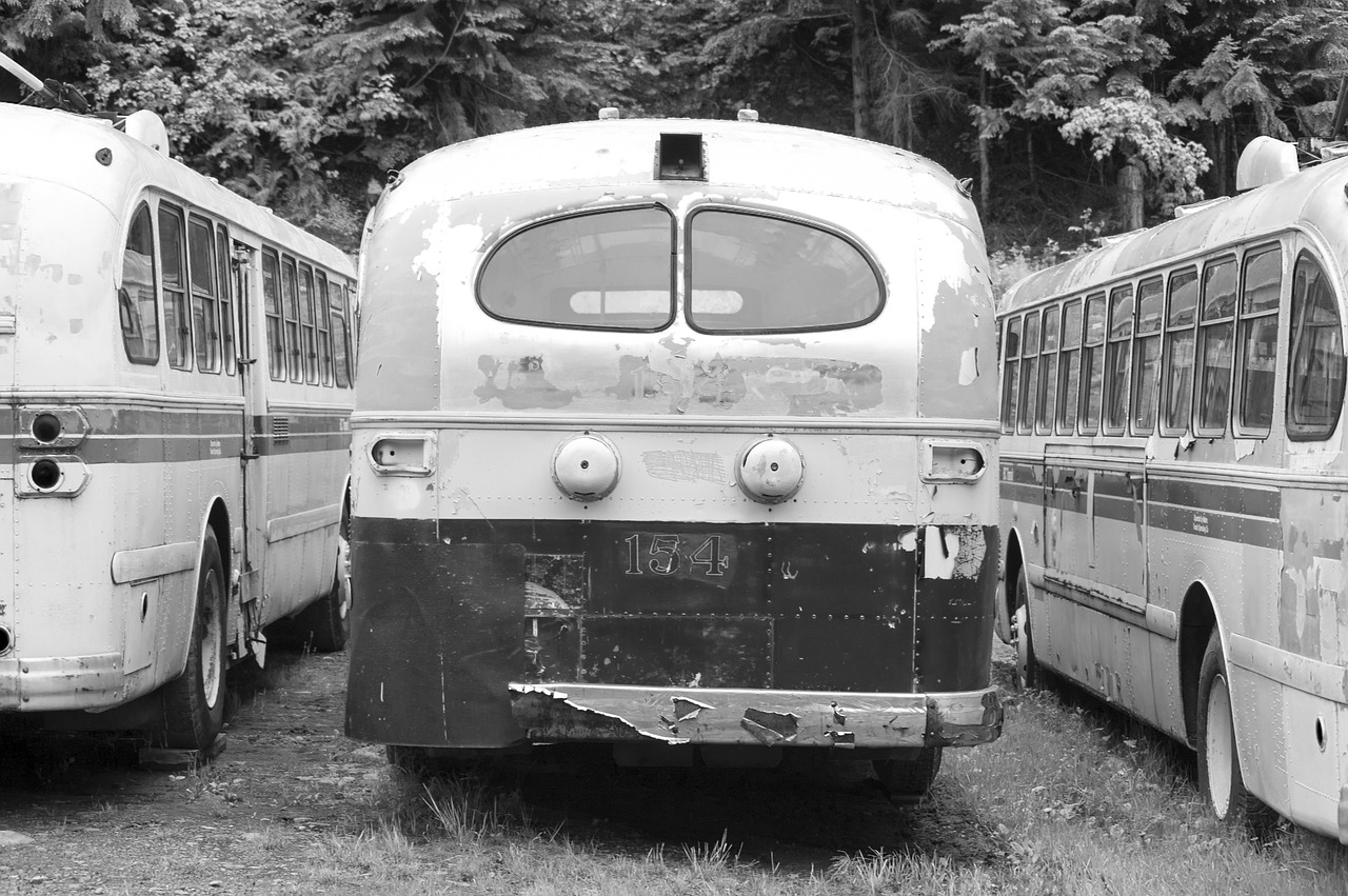 vintage bus travel free photo