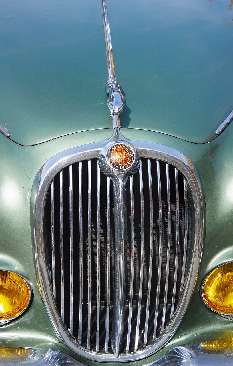 vintage jaguar front free photo