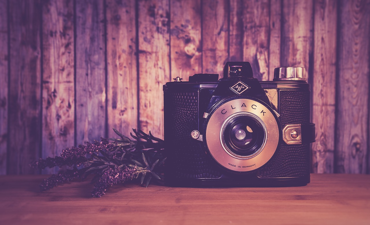 vintage camera old free photo