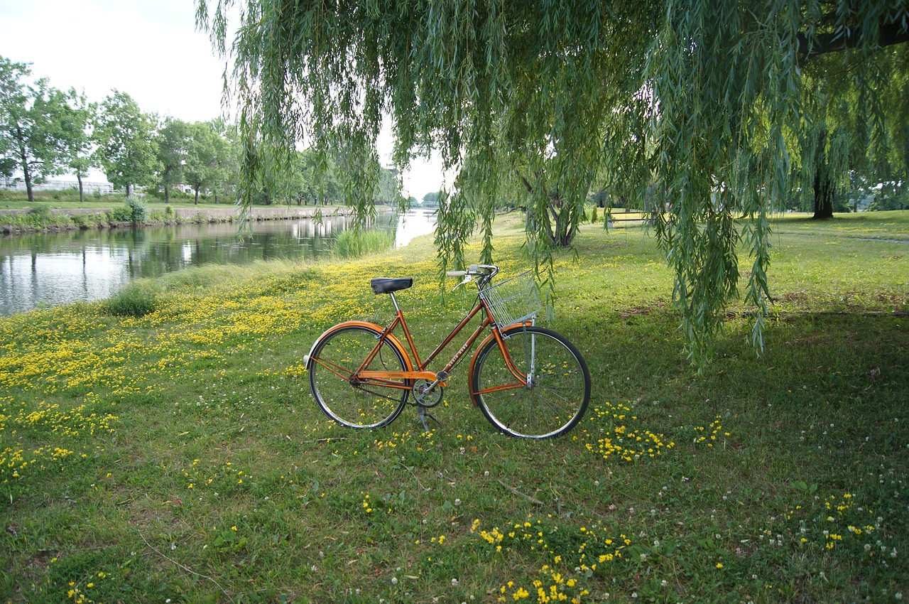 vintage  bicycle  bike free photo