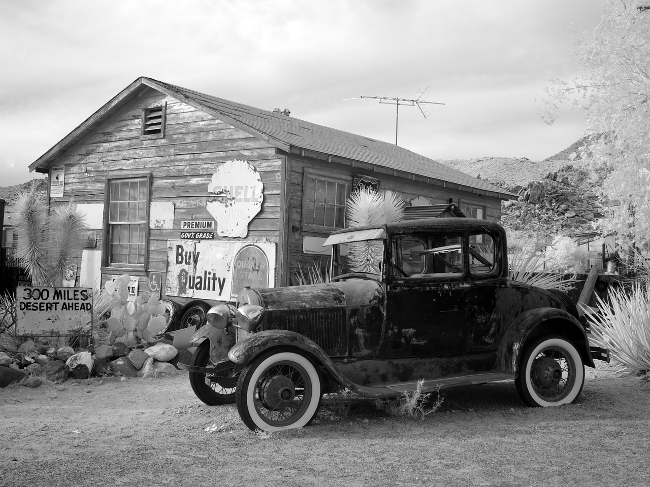 vintage auto car free photo