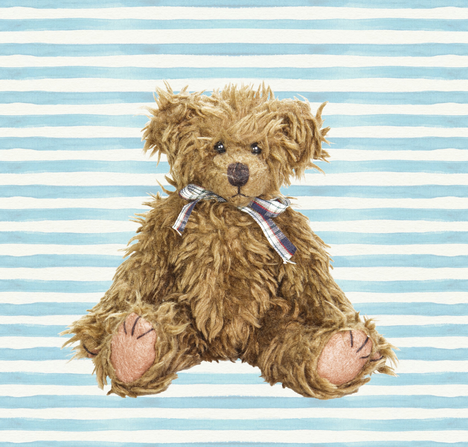 bear teddy teddy bear free photo