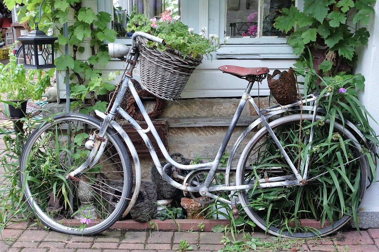 vintage bike vines germany free photo