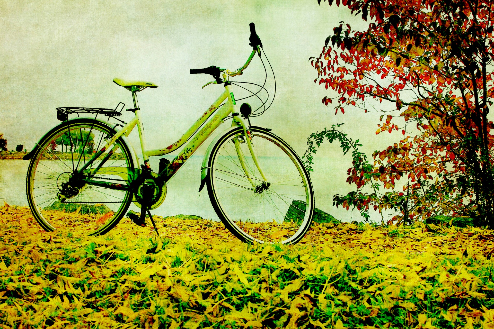 bike bicycle vintage free photo