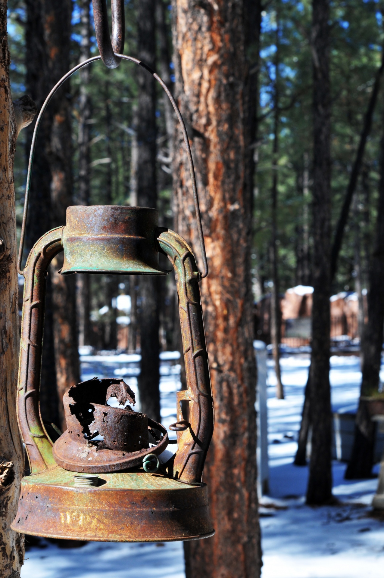 lantern light old free photo