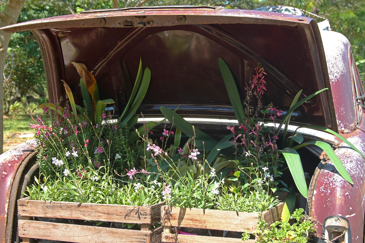vintage car with plants in boot car old free photo