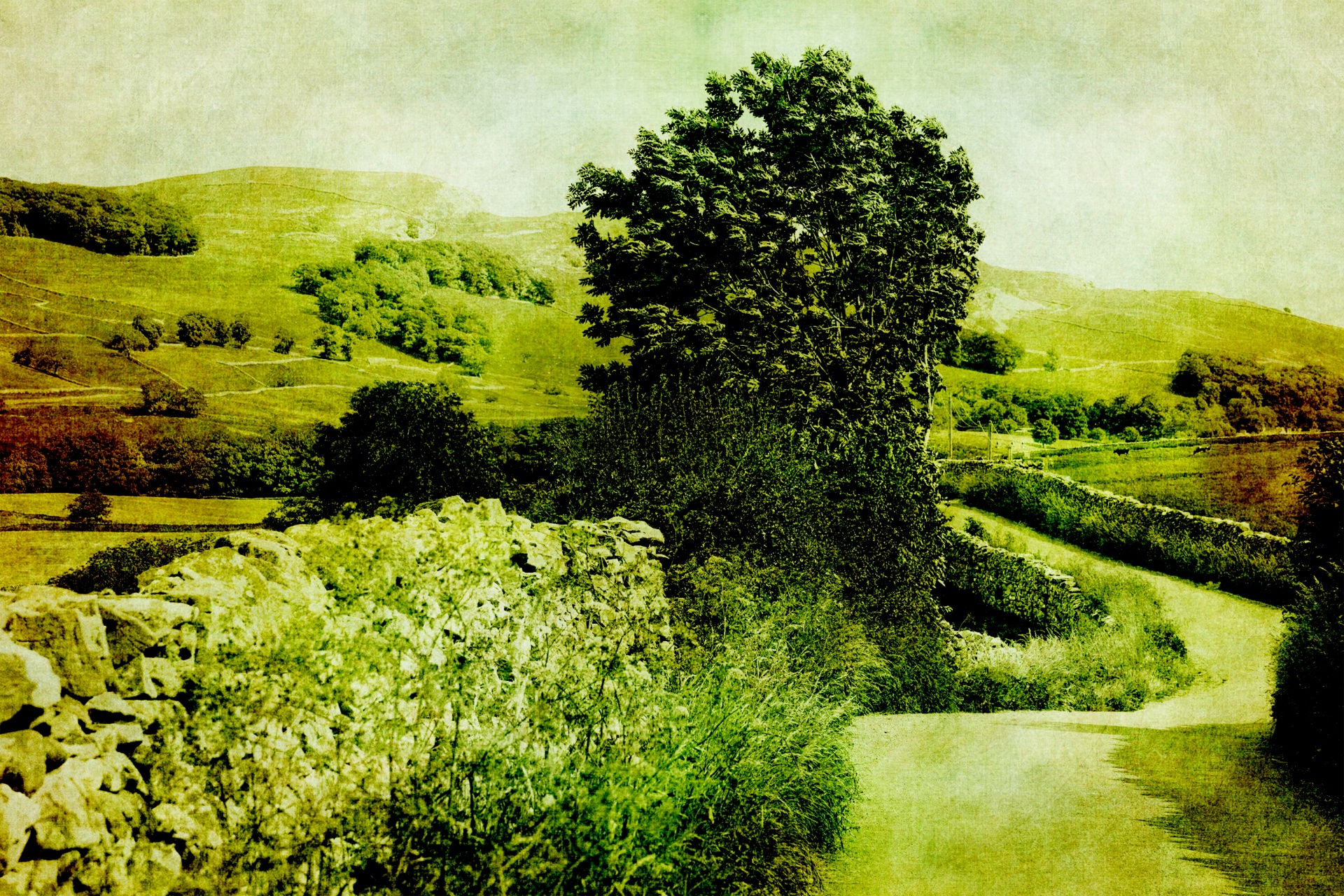vintage lane countryside free photo