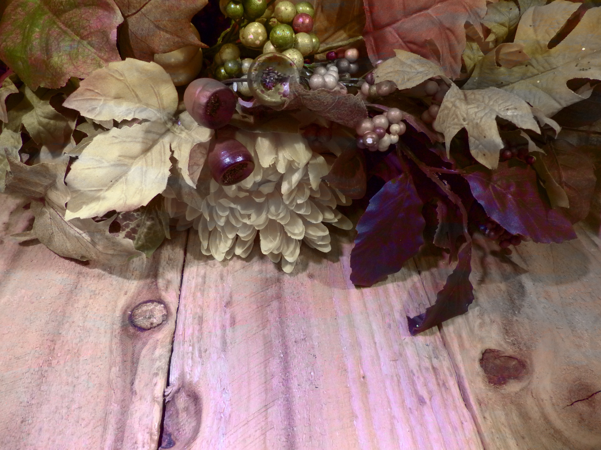 vintage fall still-life free photo