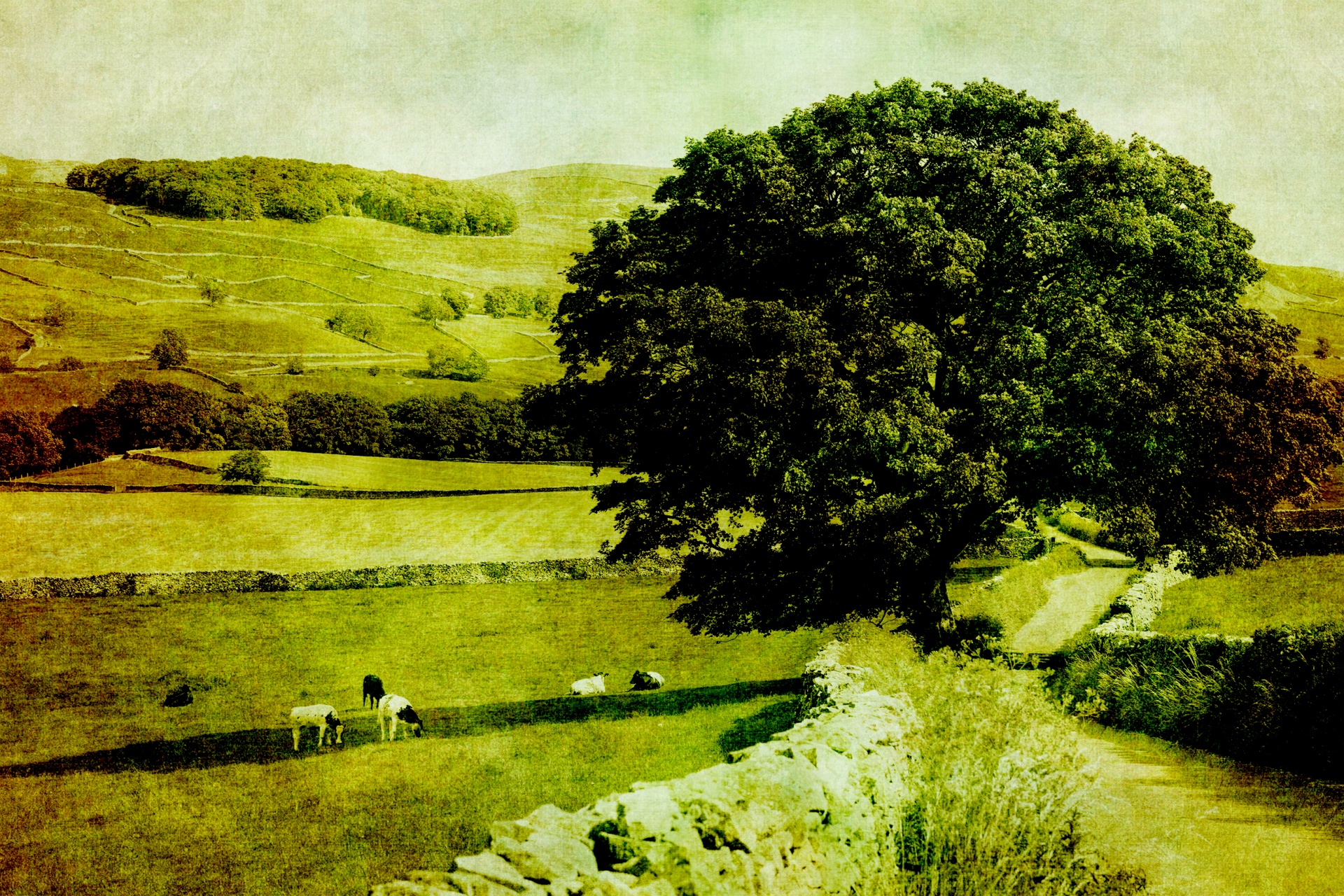 vintage landscape english free photo