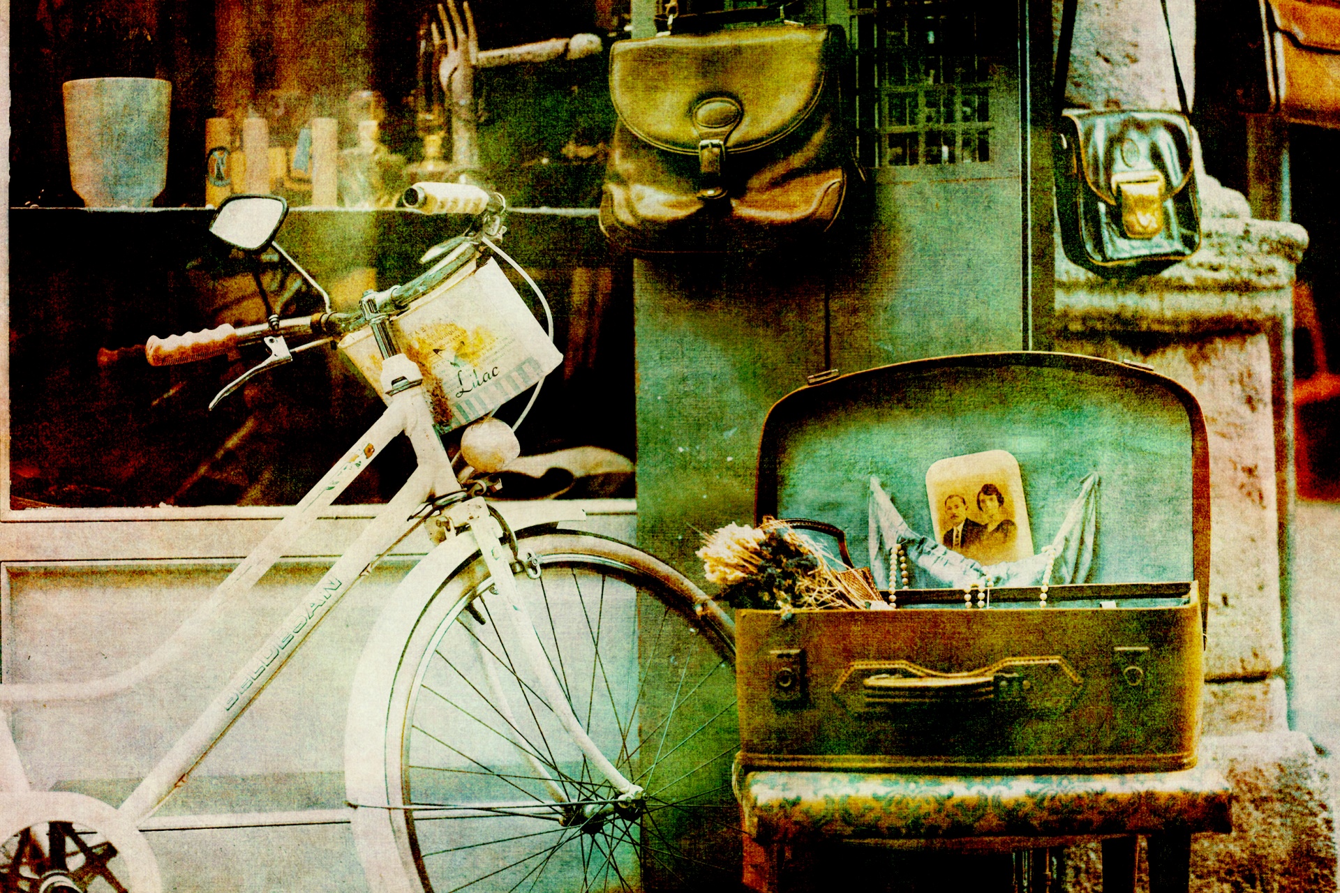 vintage bike bicycle free photo