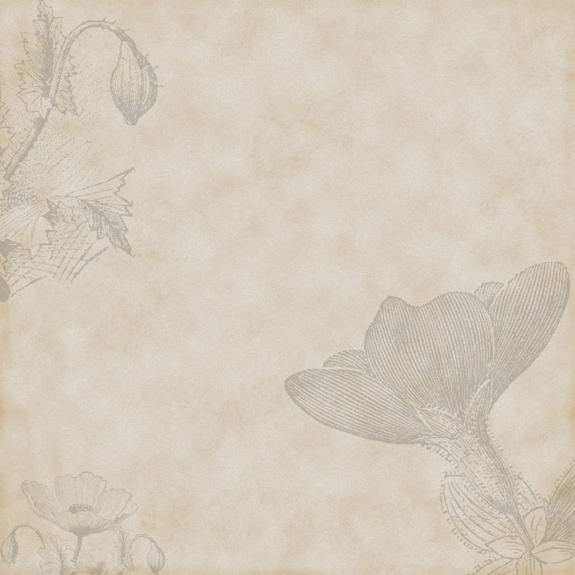 vintage paper background free photo