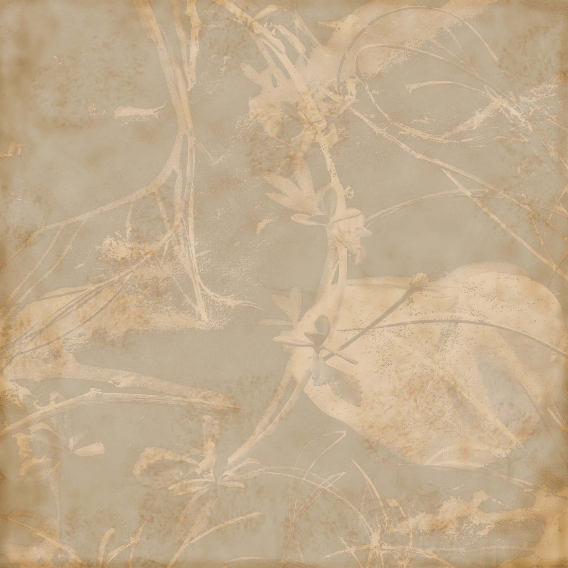 vintage paper background free photo