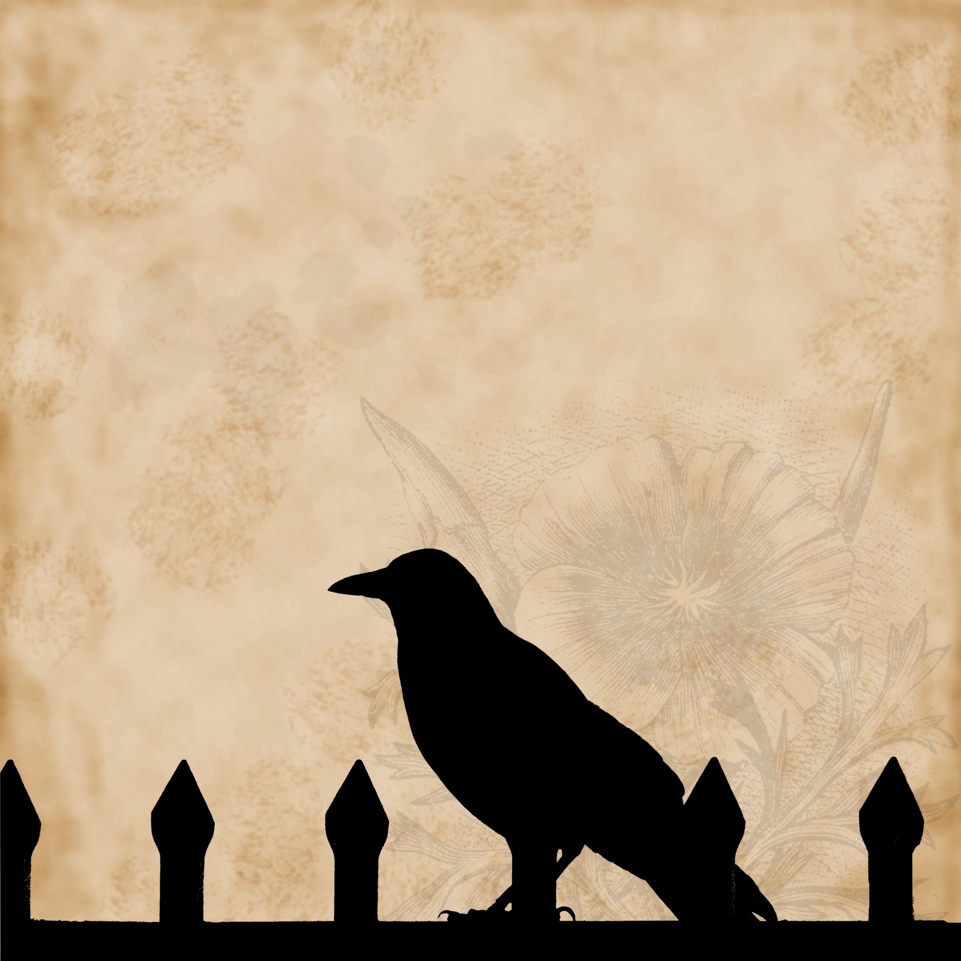 background vintage silhouetted crow free photo