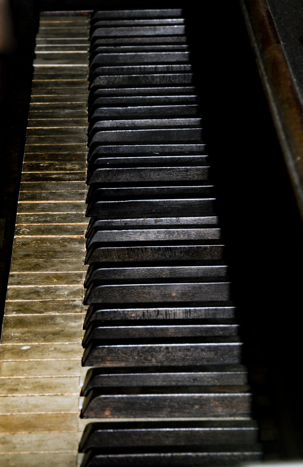 piano music keys free photo