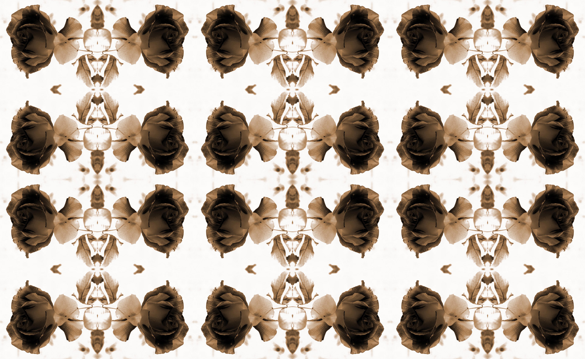 rose sepia pattern free photo