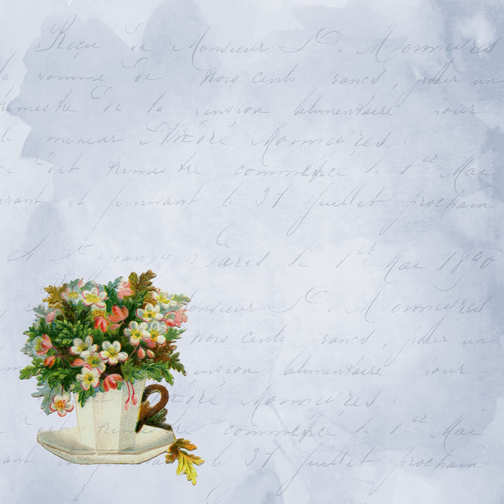 teacup cup flowers free photo