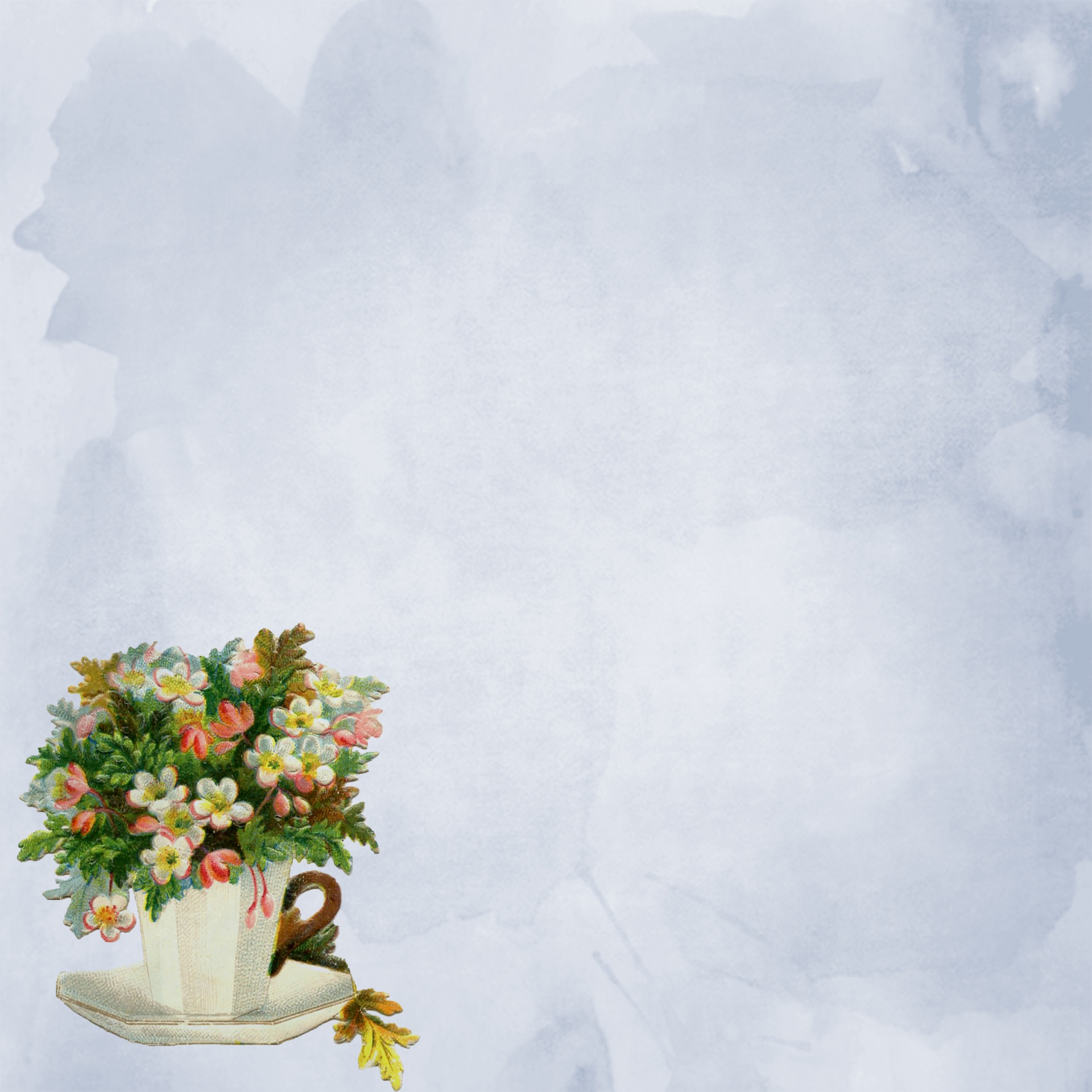 teacup flowers vintage free photo